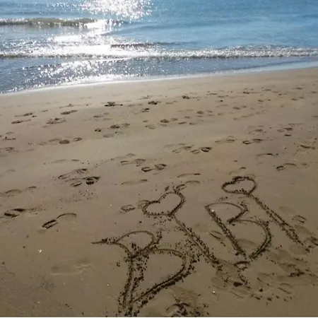 Bright And Comfortable In