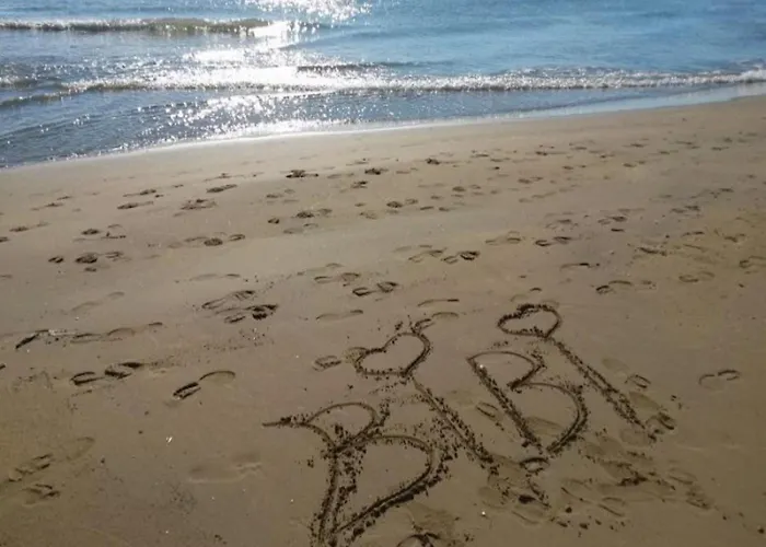 Bright And Comfortable In